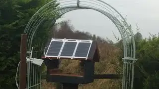 livebirdcam birdcamlive Live Stream