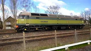D1645 / 47830 