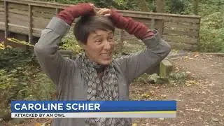 Scientist warns owl attacks at Portland parks are not uncommon