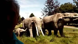 Lugares Que Chamullan. Los Gonfoterios