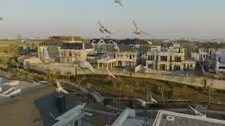 world of architectural excellence and construction..