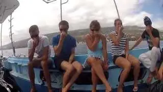 Diving in september, in Reunion Island, with the Excelsus diving center