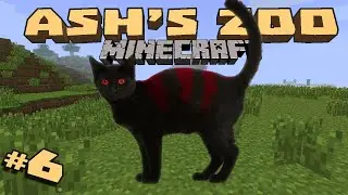 Minecraft: Ash's Zoo - #6 - Рыбалка для кошек
