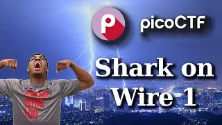 PicoCTF Walkthru [50] - Shark On Wire 1 (Wireshark and UDP Stream tutorial)