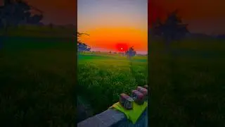 4K me photo click karne ka best Camera #camera #iphone #photography #lmc #gcam