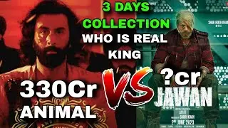 Animal Vs Jawan Box office comparison,Day 3, Ranbir Kapoor vs SRK, Who is box office king,