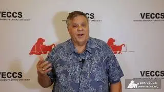 VECCS Stories