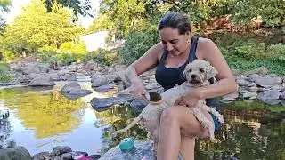 Vean que lindos como se dejan bañar ellos