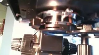 LabLearner TIP: MS Microscope Substage Adjustments