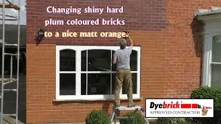 Brick Tinting Extension