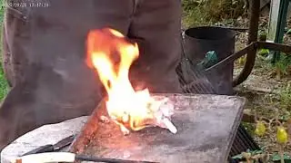 Fire it Up Friday #224  BB Coffee Challenge #193 Birch Bark and Tea