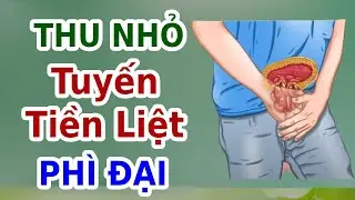 4 Vitamin THU NHỎ Tuyến Tiền Liệt PH&Igrave; ĐẠI | EVA COCO