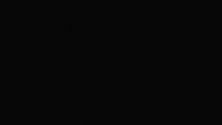 Walt Disney Home Video Logo With No Text