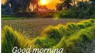 good morning welcome to my channel YouTube family 🙏🏻 Radhe Radhe