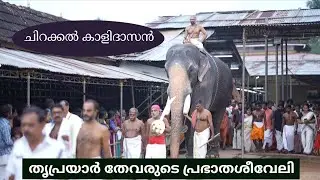 തൃപ്രയാർ തേവരെ ശിരസ്സിലേറ്റി പുതിയ ഉത്സവസീസണ് തുടക്കം കുറിച്ച് ചിറക്കൽ കാളിദാസൻ #chirakkalkalidasan 