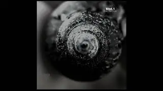 Indefinite Pitch PREMIERES. Mod.1 - Into The Circle [Linderluft Records]