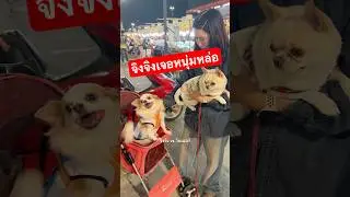 จิงจิงแซวหนุ่มแรงมาก