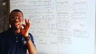 Family members by Teacher Madengue 