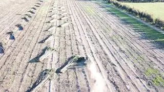 Bluegum Harvesting Australia 2017 Drone View