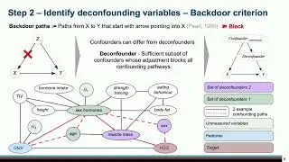 OHBM 2025 | Oral Session | Vera Komeyer | Correct deconfounding can support causal brain-behaviour&hellip;