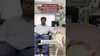 Does the home environment affect the pet behaviour? | Tale of Tails