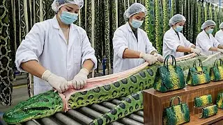 Inside the TITAN FACTORY: Processing Giant ANACONDA Hide (The World's Largest Snake)