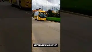 EXPRESO PALMIRA 83377 #bus #flechabus #busologia #buses