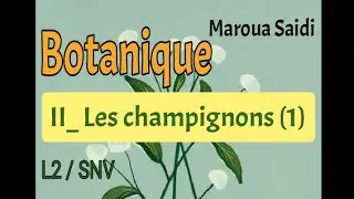 Botanique/chapitre 2: les champignons/ partie1