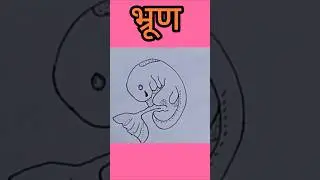Embroy Diagram Step By Step//Embryo Diagram//Easy Science Diagram//embryo #shorts #trending #drawing