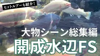 【開成水辺FS】大物シーン総集編・ヒットルアーも紹介します【#開成水辺フォレストスプリングス #エリアトラウト #管釣り #管理釣り場 #フォルテ #スプーン #ベルベットアーツ 】
