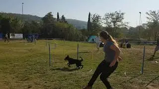 JuJu - Obala 2018 Jumping