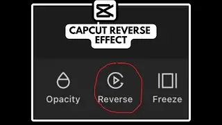 Reverse Video MAGIC in CapCut | Capcut Reverse Effect