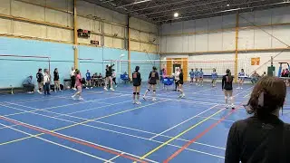 Synergy 15 Silicon vs Synergy Zinc