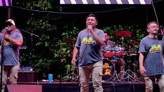 SON LA GOZADERA - MIX DE CUMBIAS 2 EN VIVO (AGÜITA DE COCO, OJITOS MENTIROSOS, PIÑA MADURA, 5 DE TÉ)