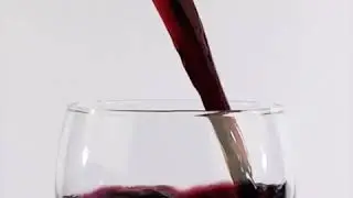 Winter Wine Celebration