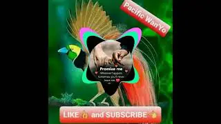 Holy Spirit Awpa karataba _ Enga Gospel _ PNG Music