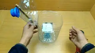A bird trap from a bottle