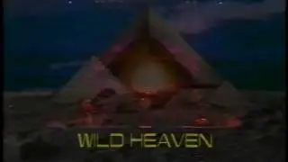 ＷＩＬＤHEAVEN
