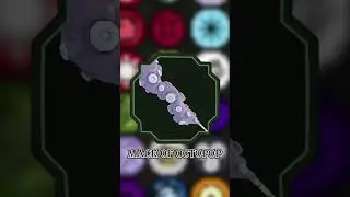 🎮 Top 5 Best weapons in shindo life 🔥