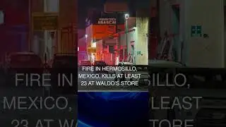 Fire in Hermosillo Mexico Kills at Least 23 at Waldos Store