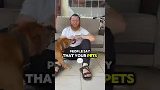 Jewish law about pets