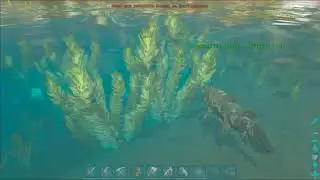 Ark aberration   Cesto de pesca