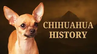 The Aztec Spirit Guide: The True History of the Chihuahua