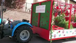 Giuliano Teatino   Sagra delle ciliegie 29 6 2025
