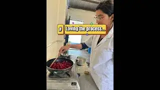 Plum Fruit Leather Preparation/ Thesis/ Lab work/ B.tech/ Food