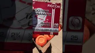 Benelli Montefeltro Inertia System Reliability Test Fiocchi Light Target Loads 7/8 Ounce ( 24 Grams)