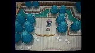 Pokemon Black and White - TM05 Roar