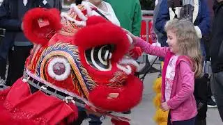Lunar New Year Festival 2026 at Stone Mountain Park