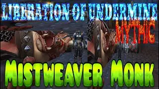 mythic cauldron of carnage 𖦹 mistweaver monk pov
