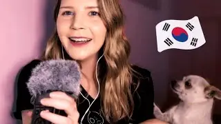 한국어 asmr | 한국에 살 때 일어났던 일에 대한 이야기 (속삭이는 수다)
